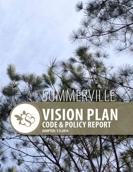 Code & Policy Report