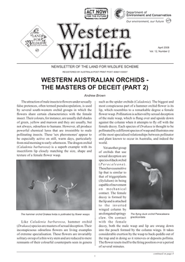 Western Australian Orchids