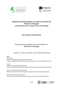 Amphicerus Bimaculatus Na Cultura Da Vinha Em Palmela, Portugal: Contribuições Para O Estudo Da Sua Bioecologia