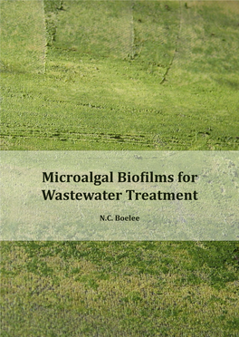 Microalgal Biofilms for Wastewater Treatment