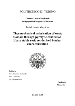 Horse Stable Residues Derived Biochar Characterization