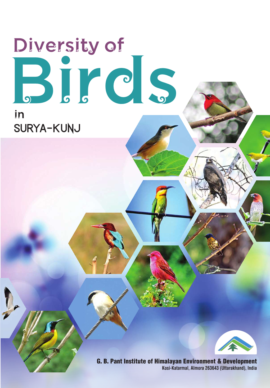 Diversity of Birds in Surya Kunj