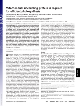 Mitochondrial Uncoupling Protein Is Required for Efficient Photosynthesis