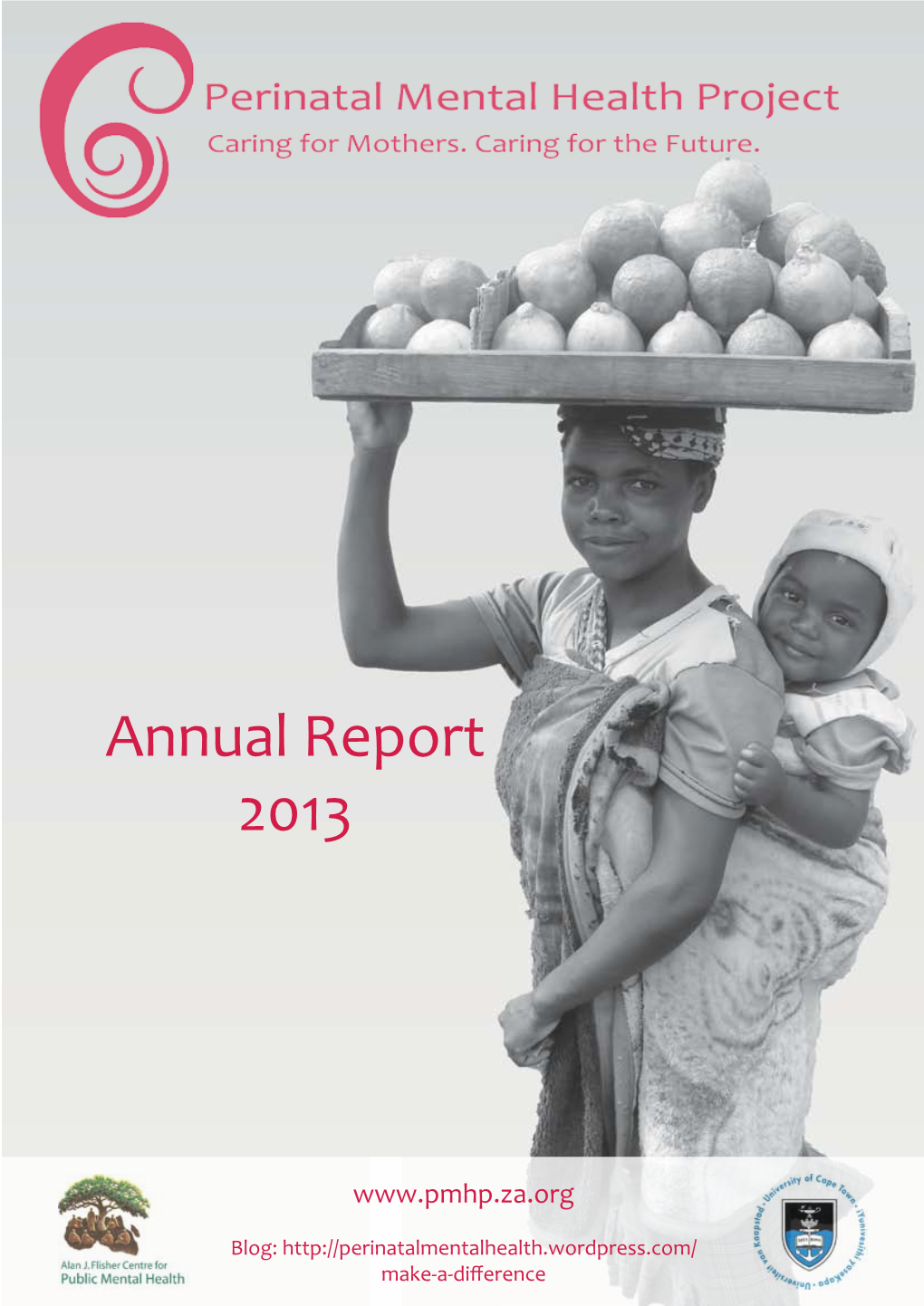 PMHP-Annualreport2013