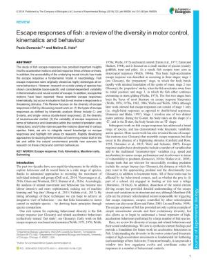 A Review of the Diversity in Motor Control, Kinematics and Behaviour Paolo Domenici1,* and Melina E