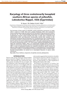 Karyology of Three Evolutionarily Hexaploid Southern African Species of Yellowfish, Labeobarbus Rüppel, 1836 (Cyprinidae)