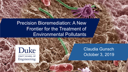Precision Bioremediation: a New Frontier for the Treatment of Environmental Pollutants