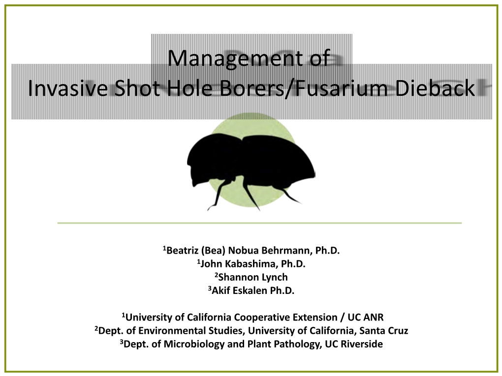 Invasive Shot Hole Borer Management