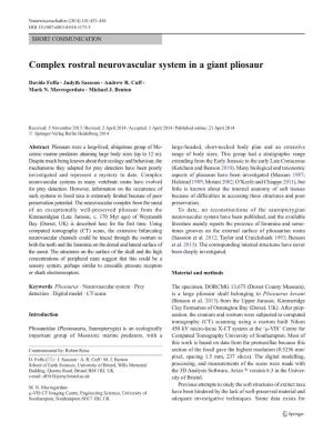 Complex Rostral Neurovascular System in a Giant Pliosaur