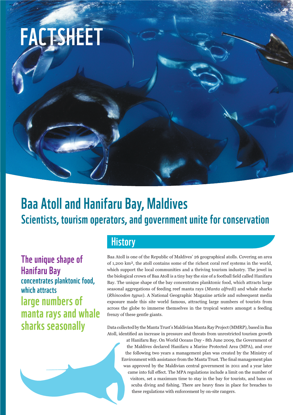 Hanifaru Bay, Maldives Scientists, Tourism Operators, and Government Unite for Conservation History