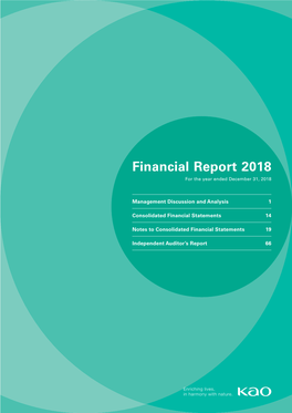 Financial Report 2018 for the Year Ended December 31, 2018