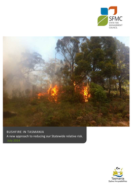 BUSHFIRE in TASMANIA a New Approach to Reducing Our Statewide Relative Risk