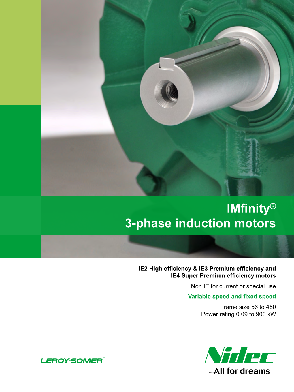 Leroy-Somer Imfinity® Asynchronous Motors