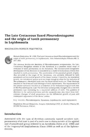 The Late Cretaceous Lizard Pleurodontagama and the Origin of Tooth Permanency in Lepidosauria