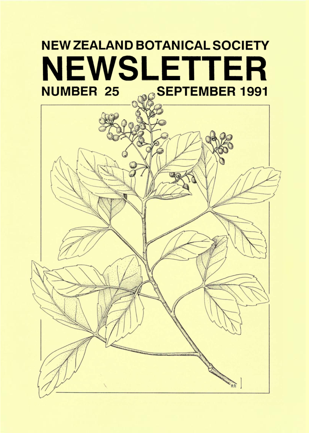 NEWSLETTER NUMBER 25 SEPTEMBER 1991 New Zealand Botanical Society