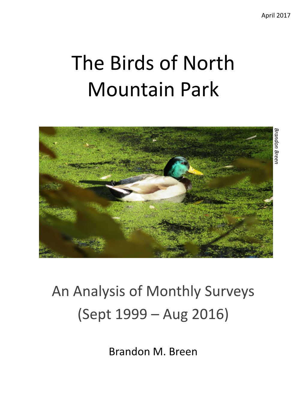 The Birds of North Mountain Park