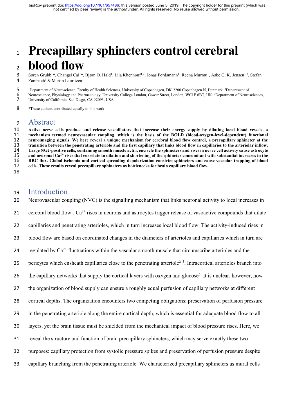 Precapillary Sphincters Control Cerebral Blood Flow