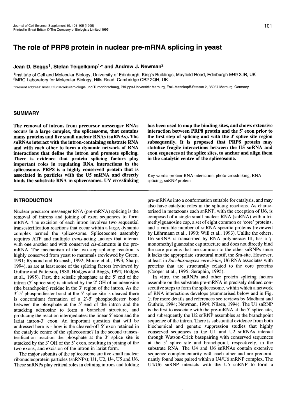 The Role of PRP8 Protein in Nuclear Pre-Mrna Splicing in Yeast