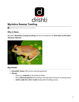 Myristica Swamp Treefrog