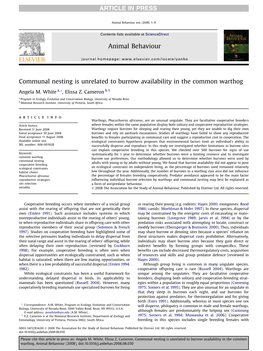 Communal Nesting Is Unrelated to Burrow Availability in the Common Warthog