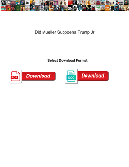 Did Mueller Subpoena Trump Jr