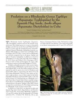 Squamata: Typhlopidae) in Cuba