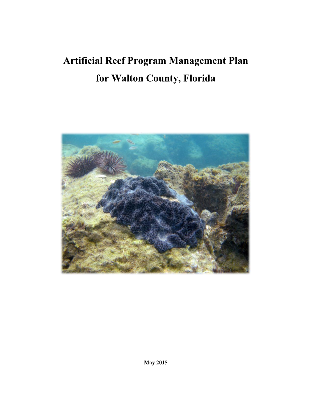 Artificial Reef Program Management Plan for Walton County, Florida