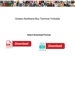 Ontario Northland Bus Terminal Yorkdale