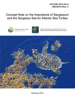 The Sargasso Sea for Atlantic Sea Turtles