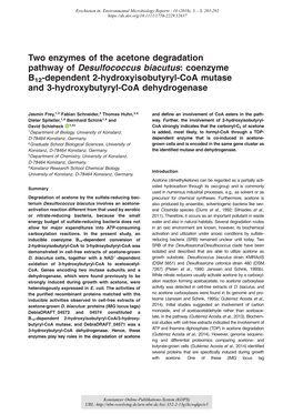 Coenzyme B12‐Dependent 2‐Hydroxyisobutyryl‐Coa