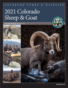 Bighorn Sheep/Mountain Goat Brochure