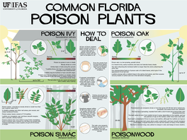 Poison Plant Graphic