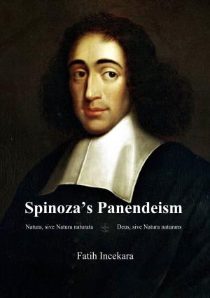 Spinoza's Panendeism