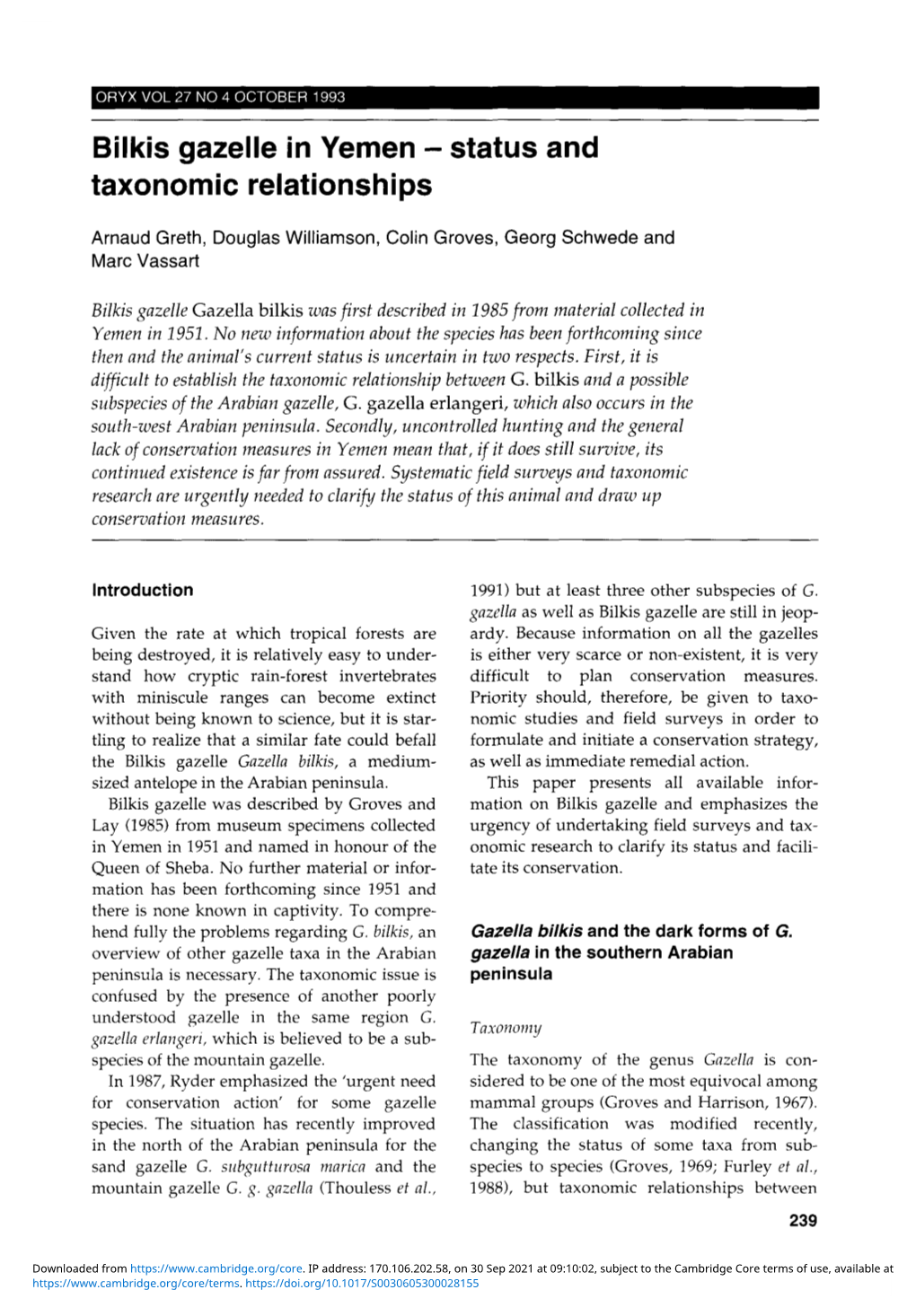 Bilkis Gazelle in Yemen – Status and Taxonomic Relationships