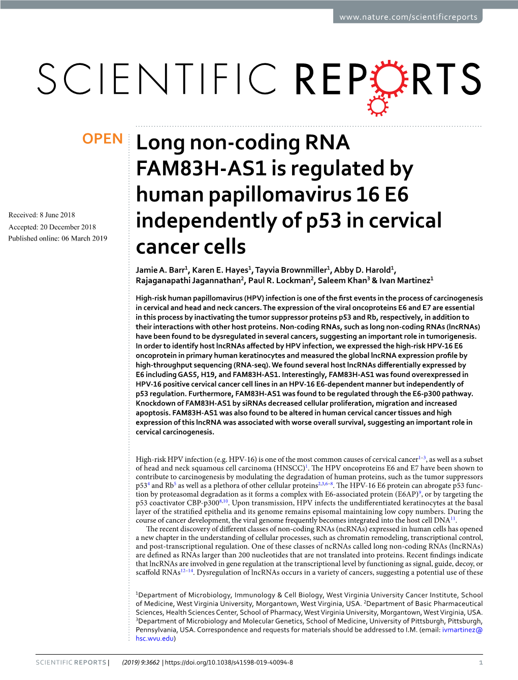 Long Non-Coding RNA FAM83H-AS1 Is Regulated by Human