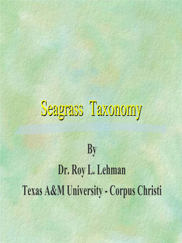 Seagrass Taxonomytaxonomy