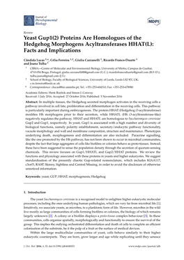 Yeast Gup1(2) Proteins Are Homologues of the Hedgehog Morphogens Acyltransferases HHAT(L): Facts and Implications