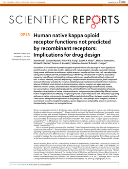 Human Native Kappa Opioid Receptor Functions Not Predicted By