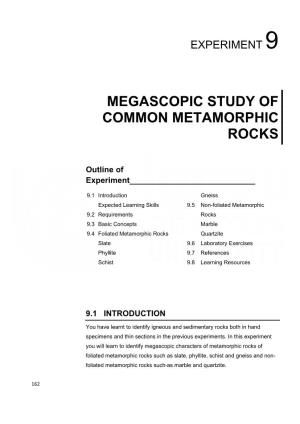 Megascopic Study of Common Metamorphic Rocks
