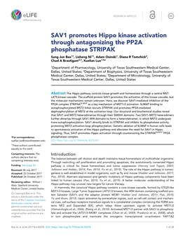 SAV1 Promotes Hippo Kinase Activation Through Antagonizing the PP2A Phosphatase STRIPAK