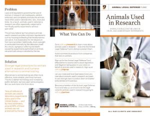 Animals Used in Research