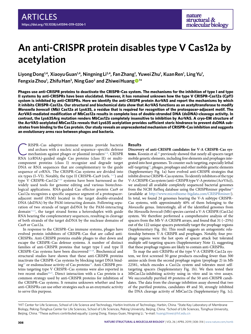 An Anti-CRISPR Protein Disables Type V Cas12a by Acetylation