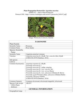 Plant Propagation Protocol for Argentina Anserina ESRM 412 – Native Plant Production Protocol URL