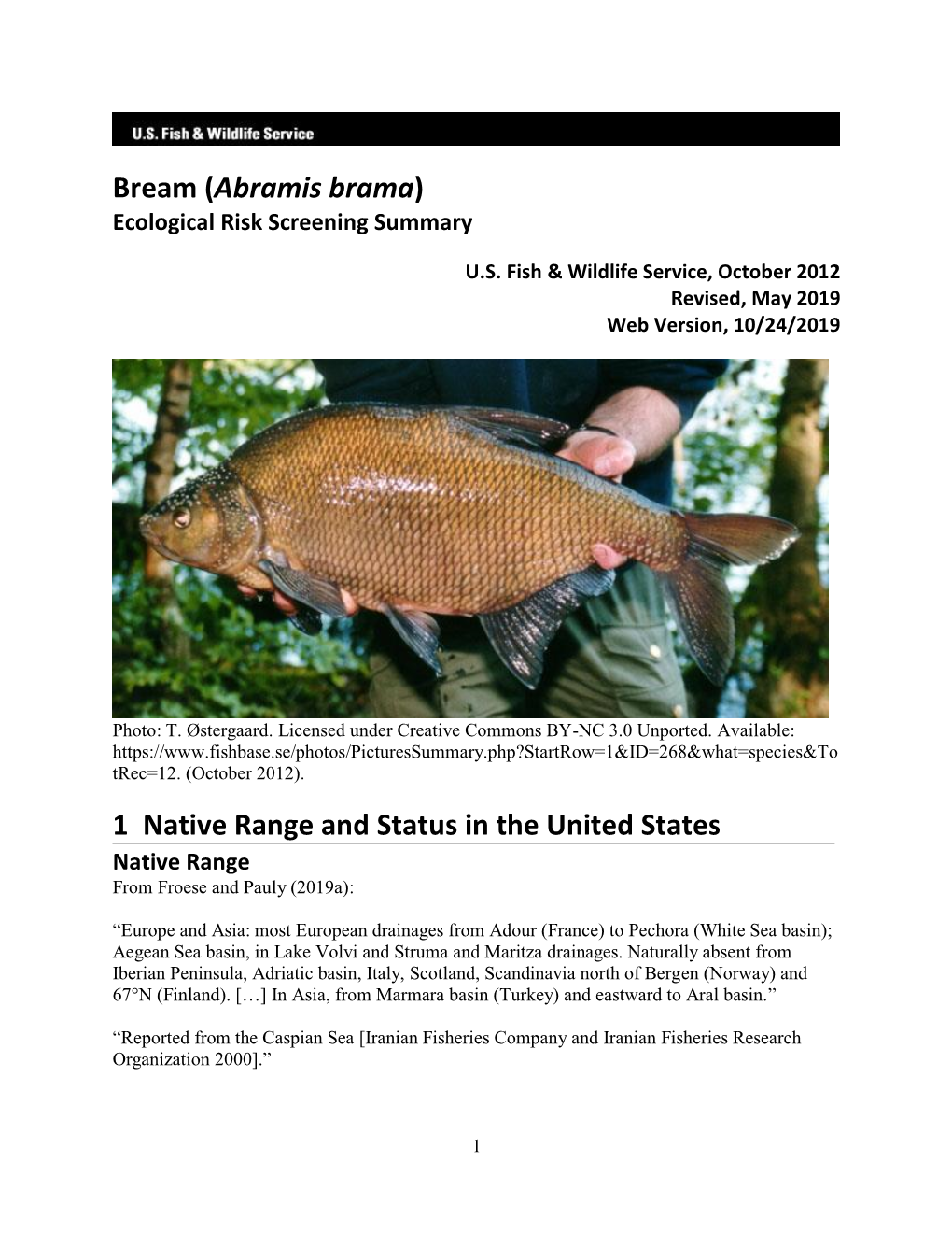 Bream (Abramis Brama) ERSS