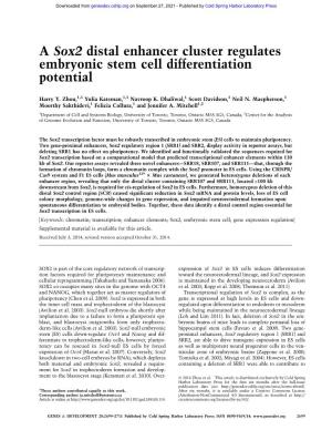 A Sox2 Distal Enhancer Cluster Regulates Embryonic Stem Cell Differentiation Potential
