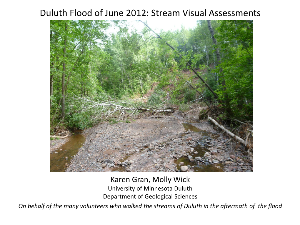 Duluth Flood of June 2012: Stream Visual Assessments