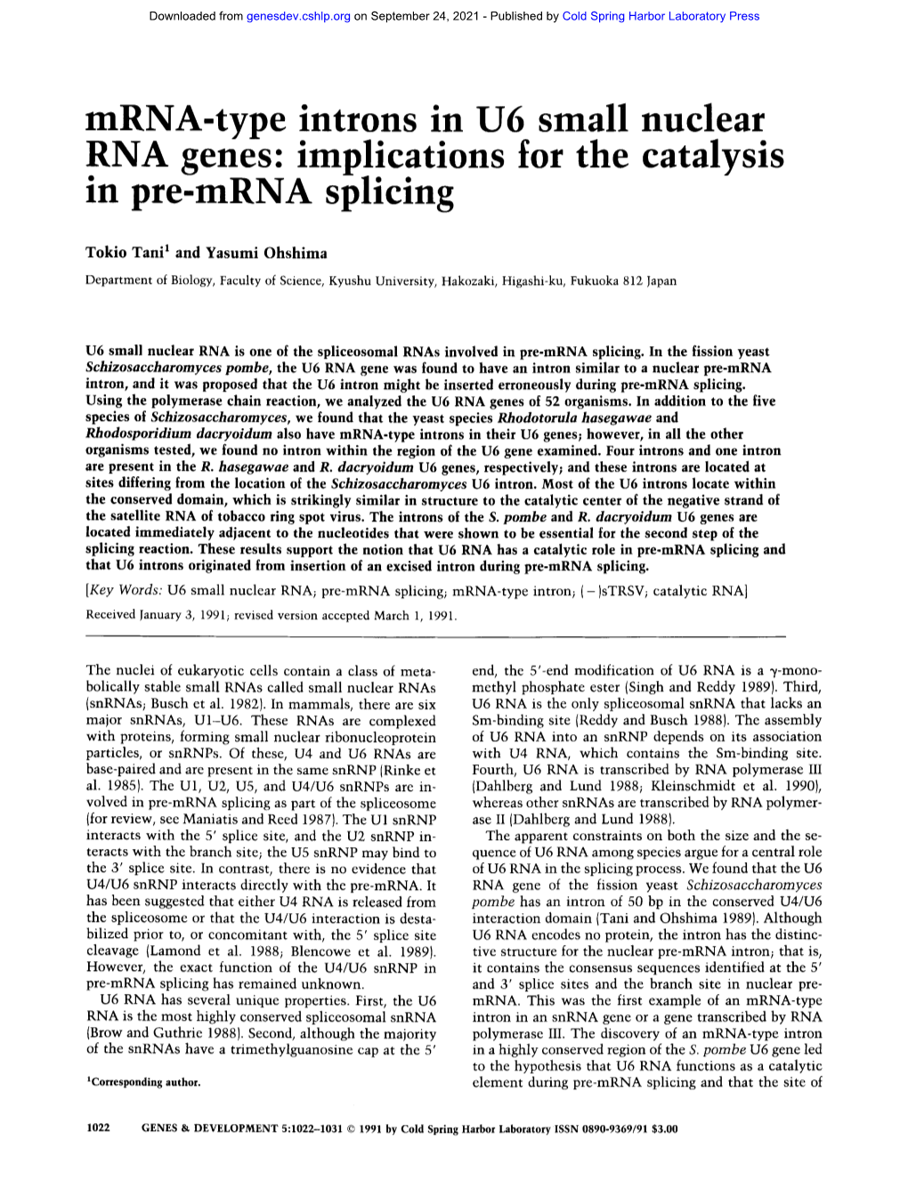 Mrna-Type Introns in U6 Small Nuclear RNA Genes: Implications for the Catalysis in Pre-Mrna Splicing