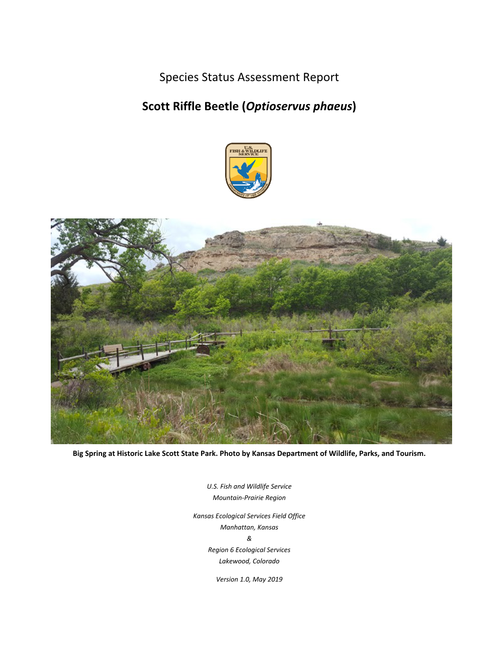 Species Status Assessment Report Scott Riffle Beetle (Optioservus