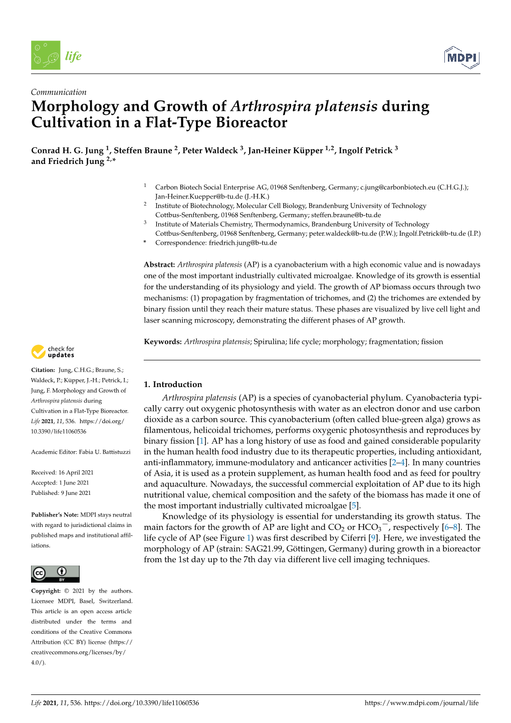 Morphology and Growth of Arthrospira Platensis During Cultivation in a Flat-Type Bioreactor