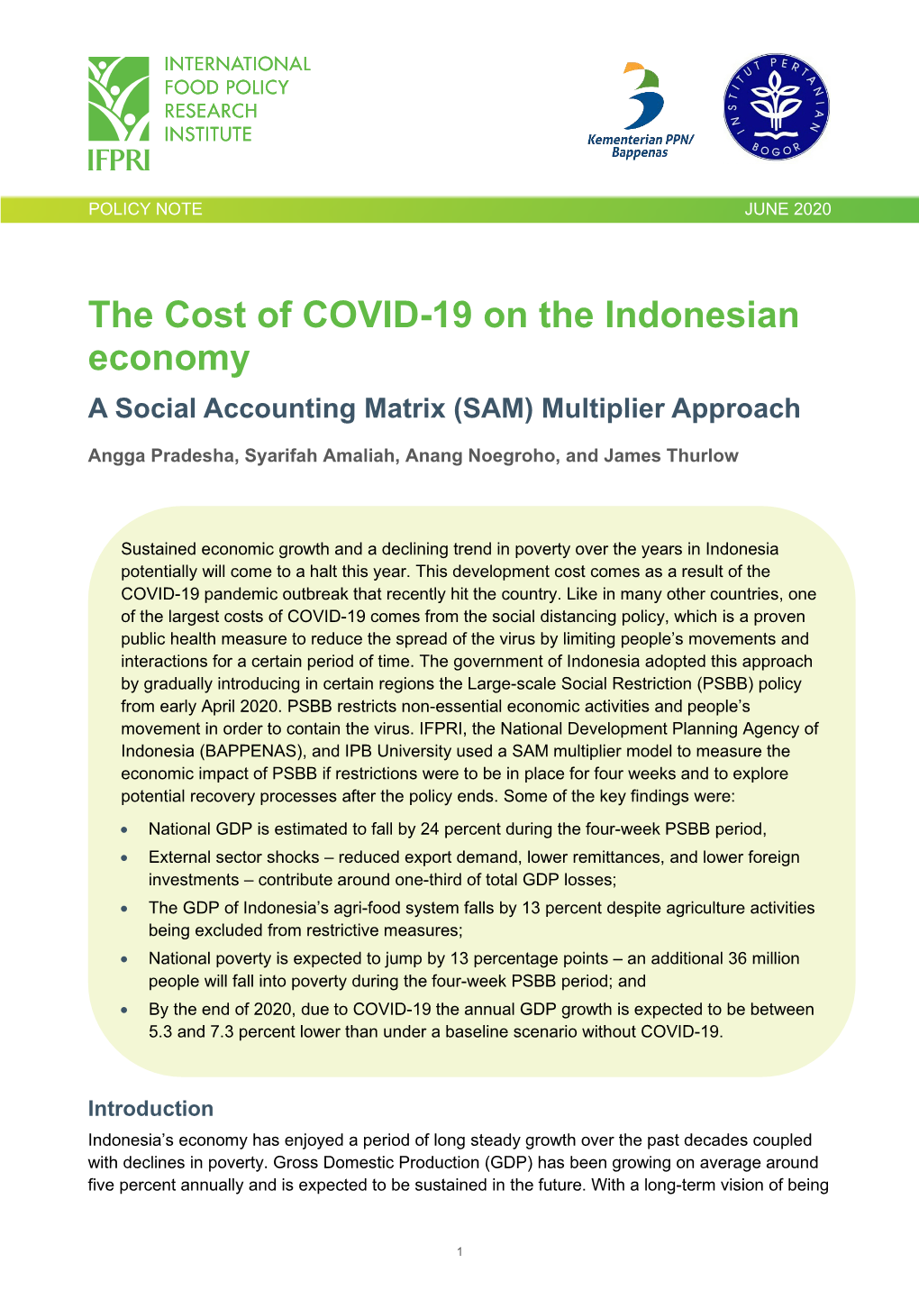 The Cost of COVID 19 on the Indonesian Economy